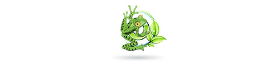 Natural Sciences / Technology